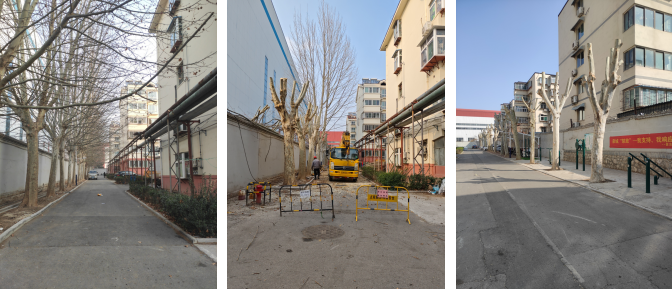 連心物業(yè)駐山東輸變電項(xiàng)目開展宿舍區(qū)樹木修剪專項(xiàng)工作